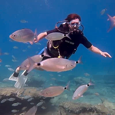 Ölüdeniz Tüplü Dalış Turu