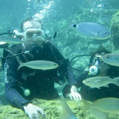 Ölüdeniz Tüplü Dalış Turu