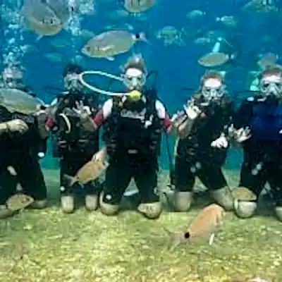 Ölüdeniz Tüplü Dalış Turu